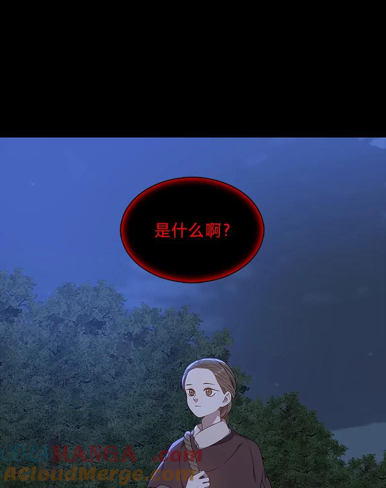 《魅惑狐狸》46.韬光养晦 第161页