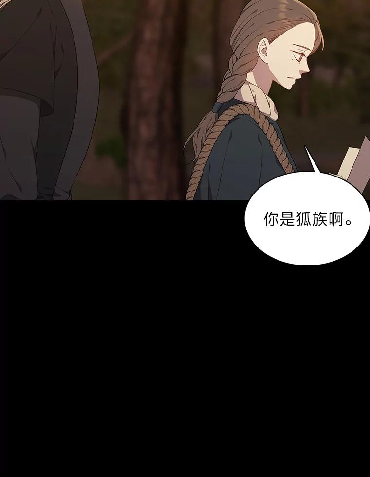 《魅惑狐狸》46.韬光养晦 第56页