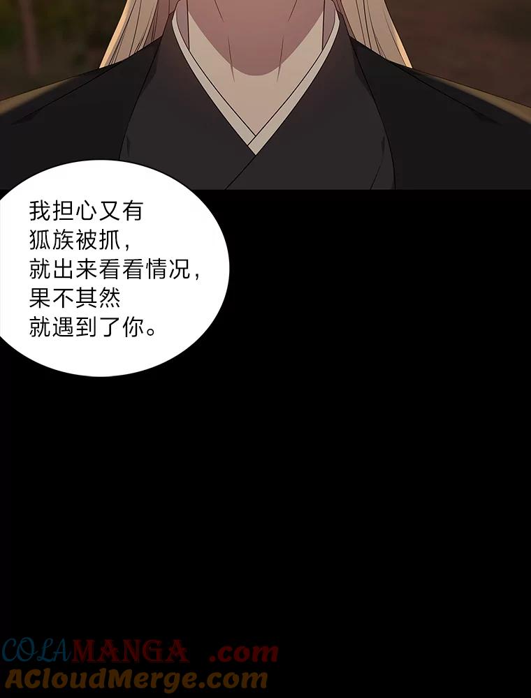 《魅惑狐狸》46.韬光养晦 第61页
