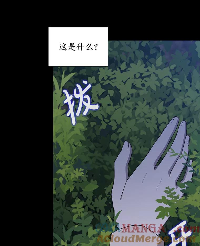 《魅惑狐狸》47.借鉴与反驳 第117页