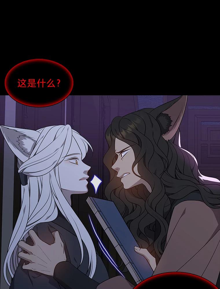 《魅惑狐狸》47.借鉴与反驳 第70页