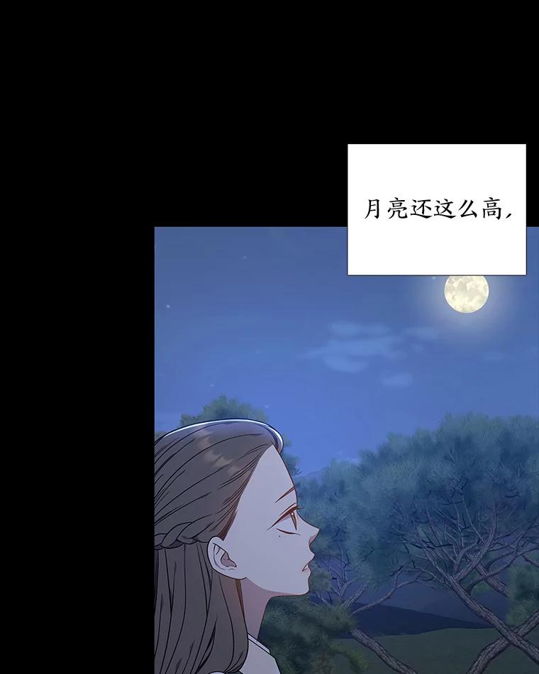 《魅惑狐狸》47.借鉴与反驳 第111页