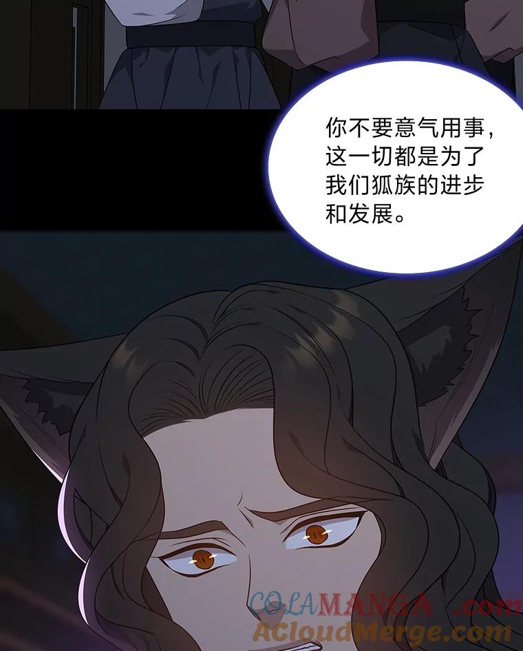 《魅惑狐狸》47.借鉴与反驳 第85页