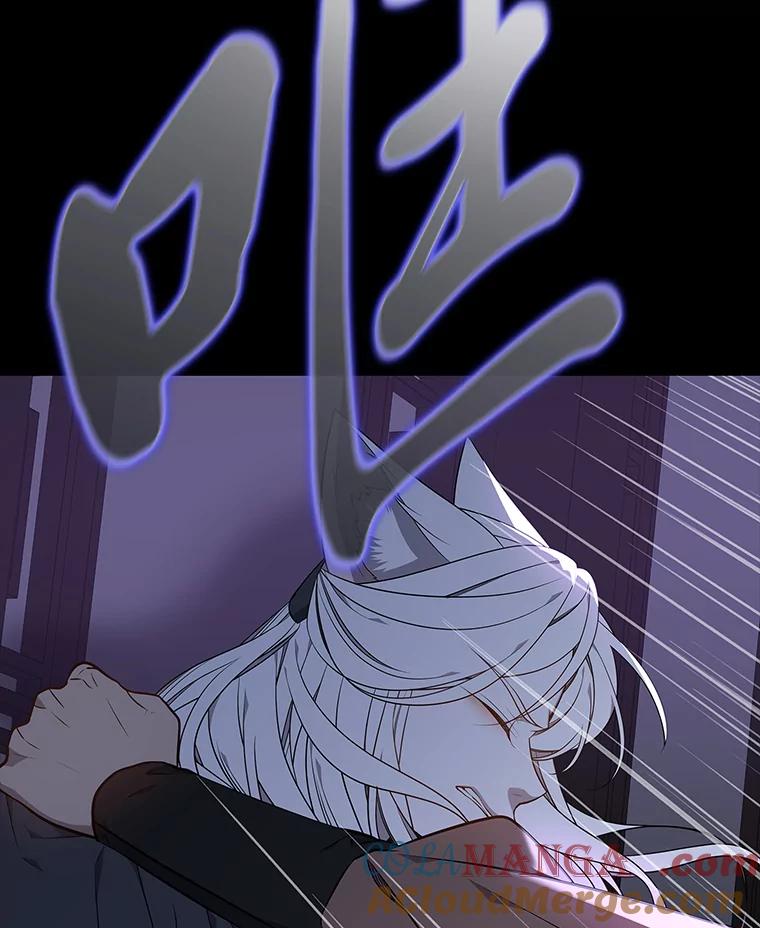 《魅惑狐狸》47.借鉴与反驳 第65页