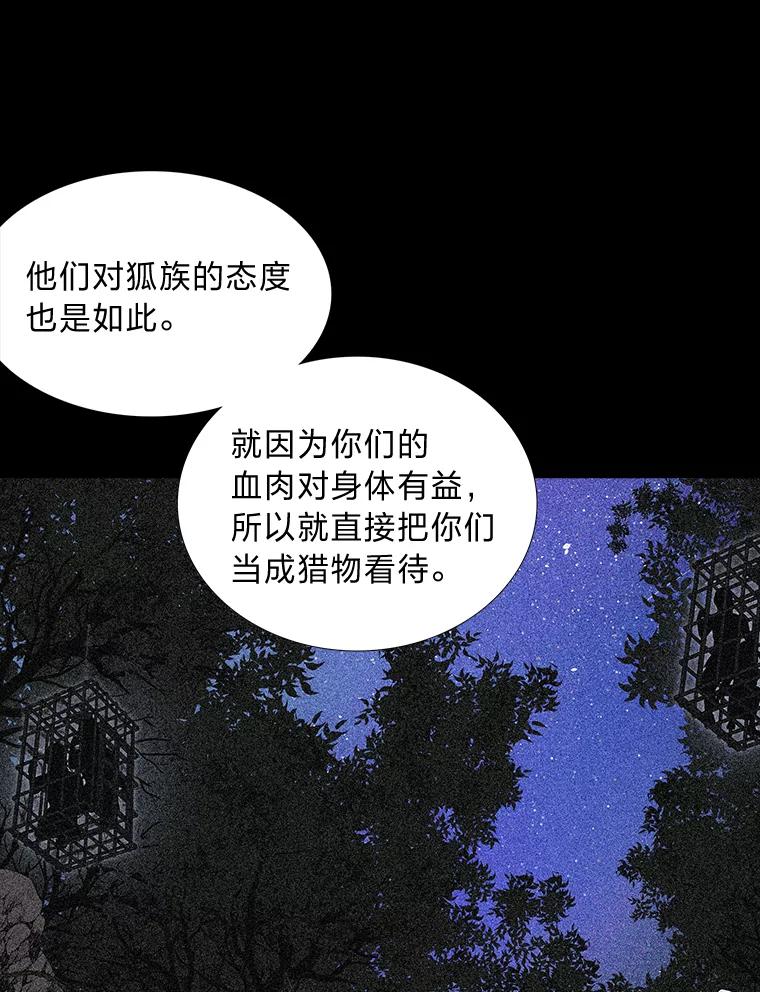 《魅惑狐狸》47.借鉴与反驳 第52页