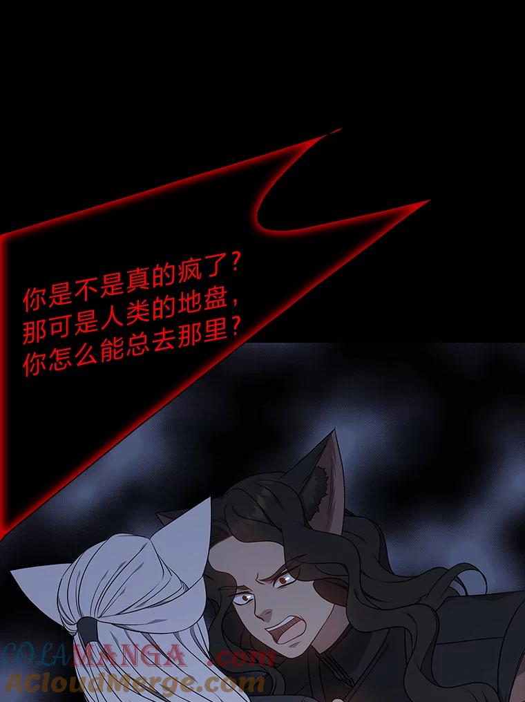《魅惑狐狸》47.借鉴与反驳 第77页