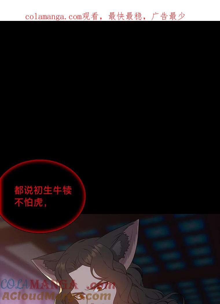 《魅惑狐狸》49.背叛 第1页