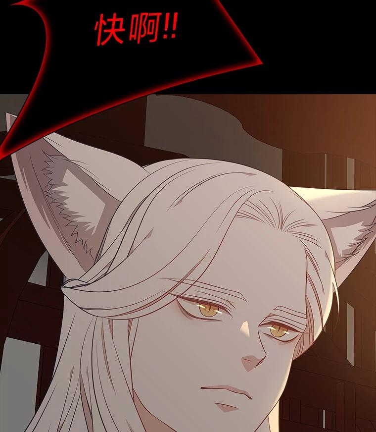 《魅惑狐狸》49.背叛 第38页