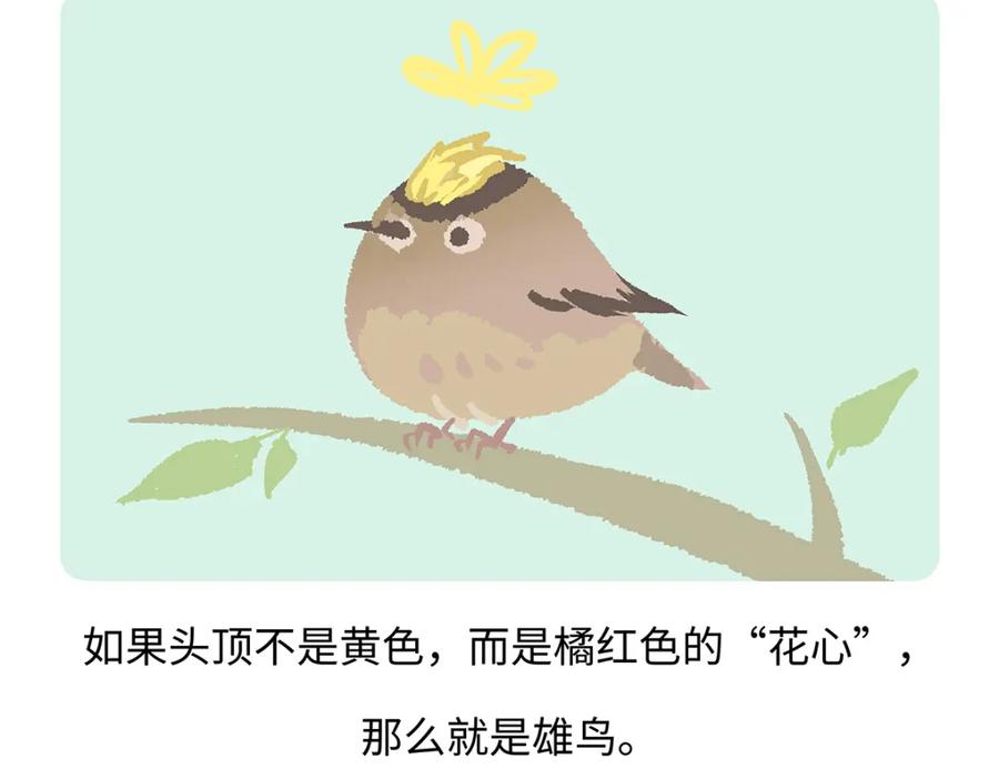 《胖达x胖达》第262话 第20页