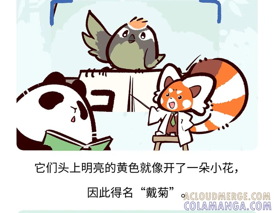 《胖达x胖达》第262话 第19页