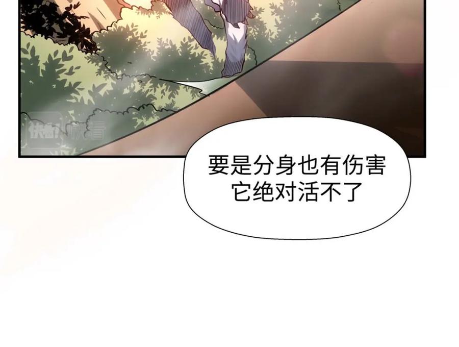 顶级气运，悄悄修炼千年 13 第76页