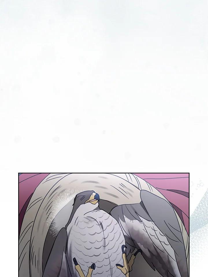 《万兽公主》第35话 第63页