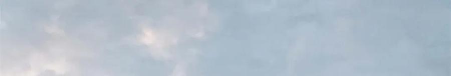 顶级气运，悄悄修炼千年 39 诛杀长老 第30页