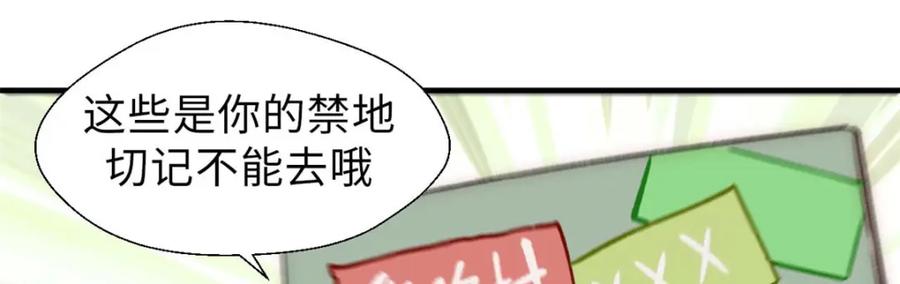 顶级气运，悄悄修炼千年 44 仙域大会 第84页