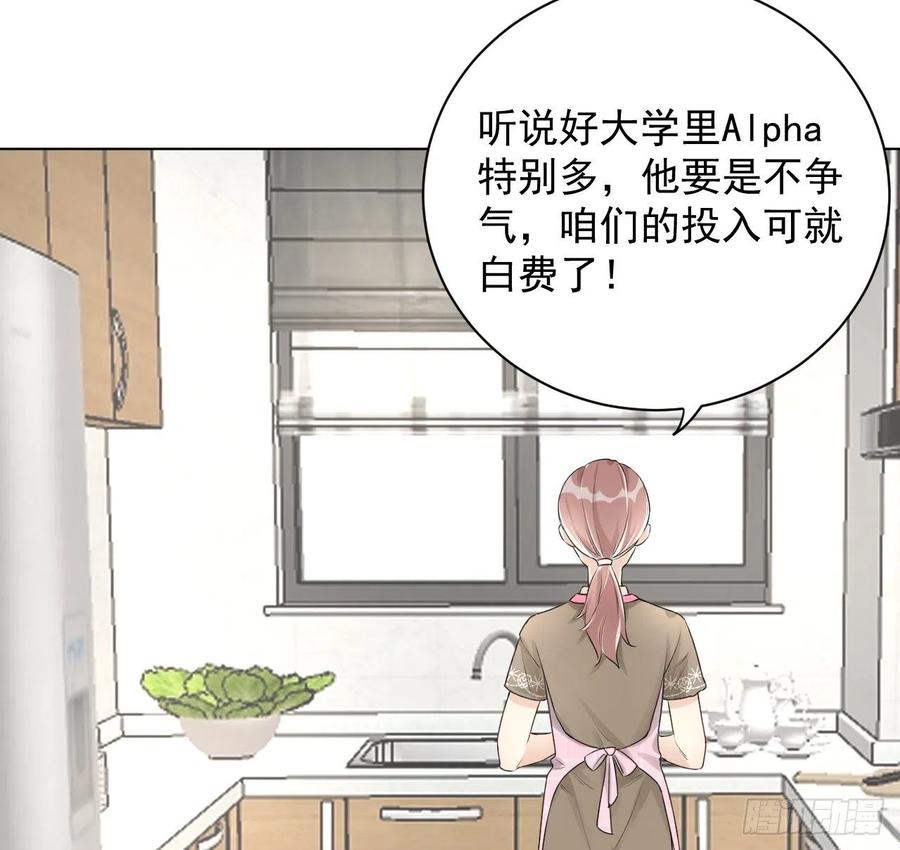顶级玩物 19 全家的希望 第14页