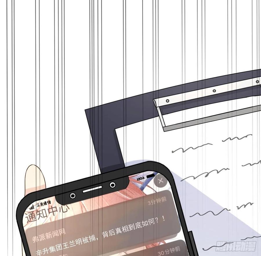 顶级玩物 29 辛升集团要垮了？ 第29页