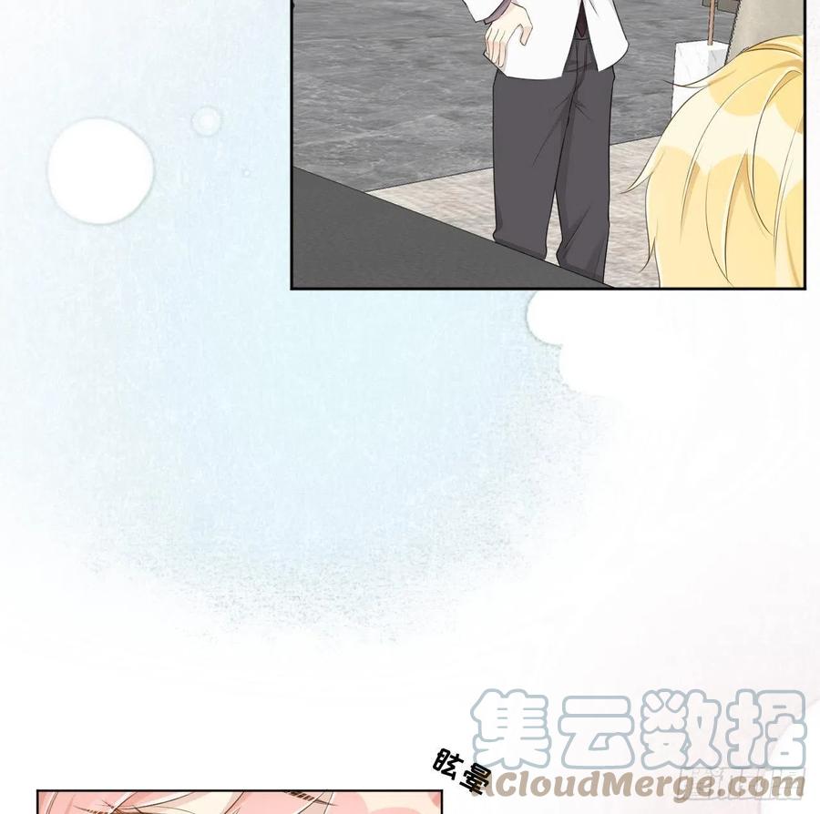 顶级玩物 34 他更懂辛总 第52页