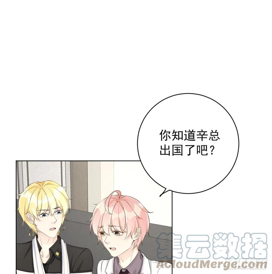 顶级玩物 34 他更懂辛总 第16页
