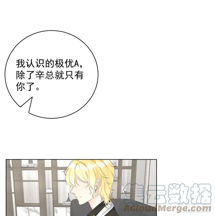 顶级玩物 34 他更懂辛总 第19页