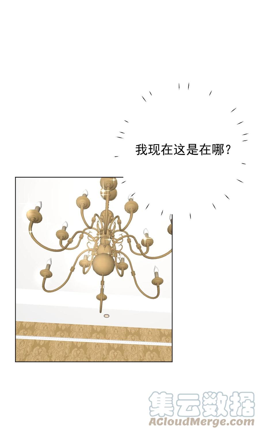 顶级玩物 44 你们连孩子都有了 第33页