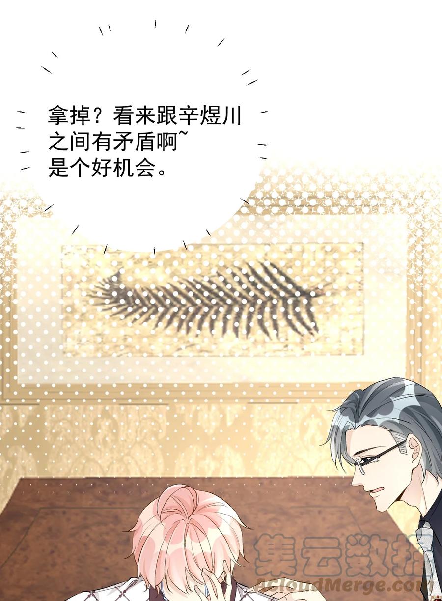 顶级玩物 45 辛煜川回国 第25页
