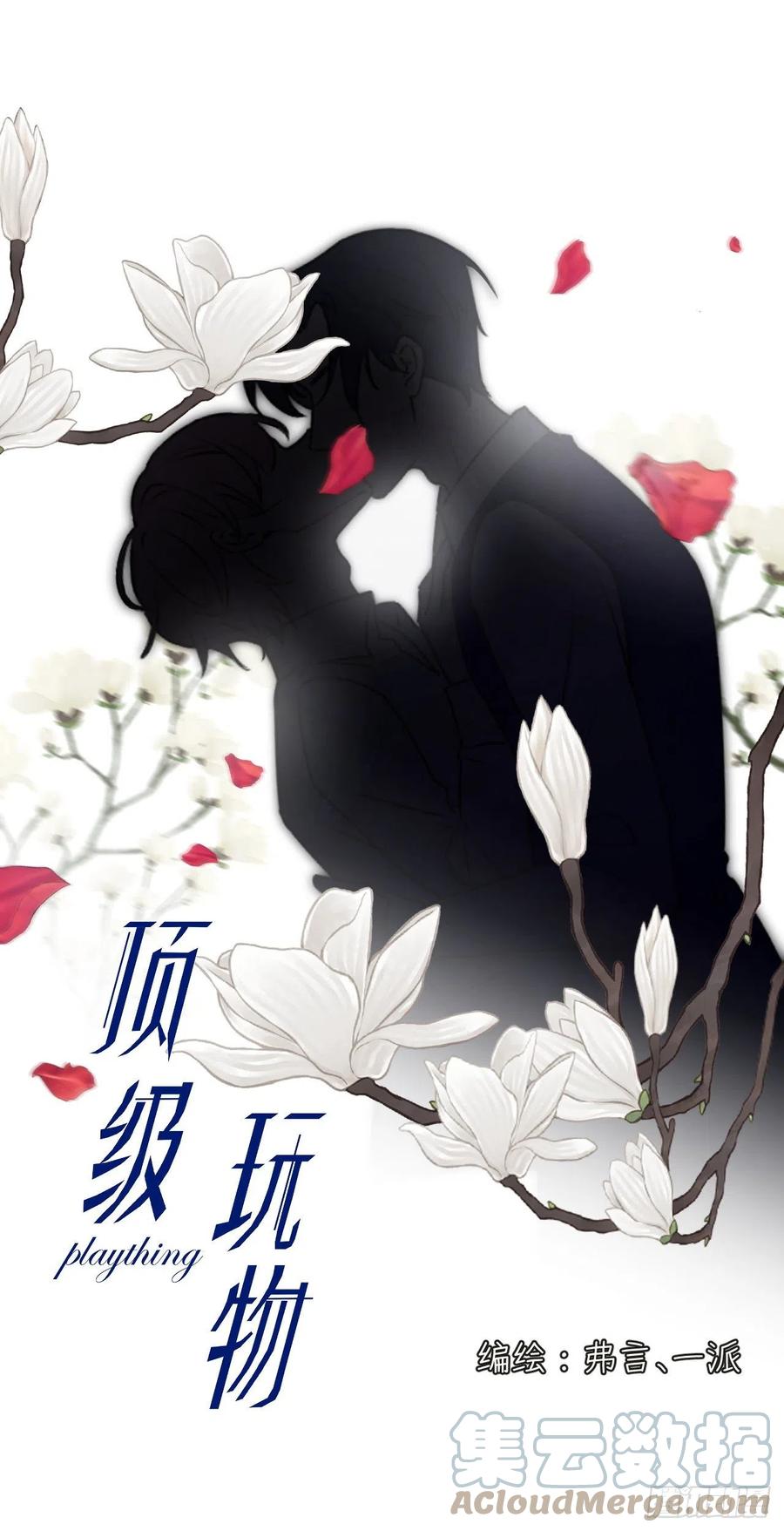 顶级玩物 08 我来覆盖标记 第1页