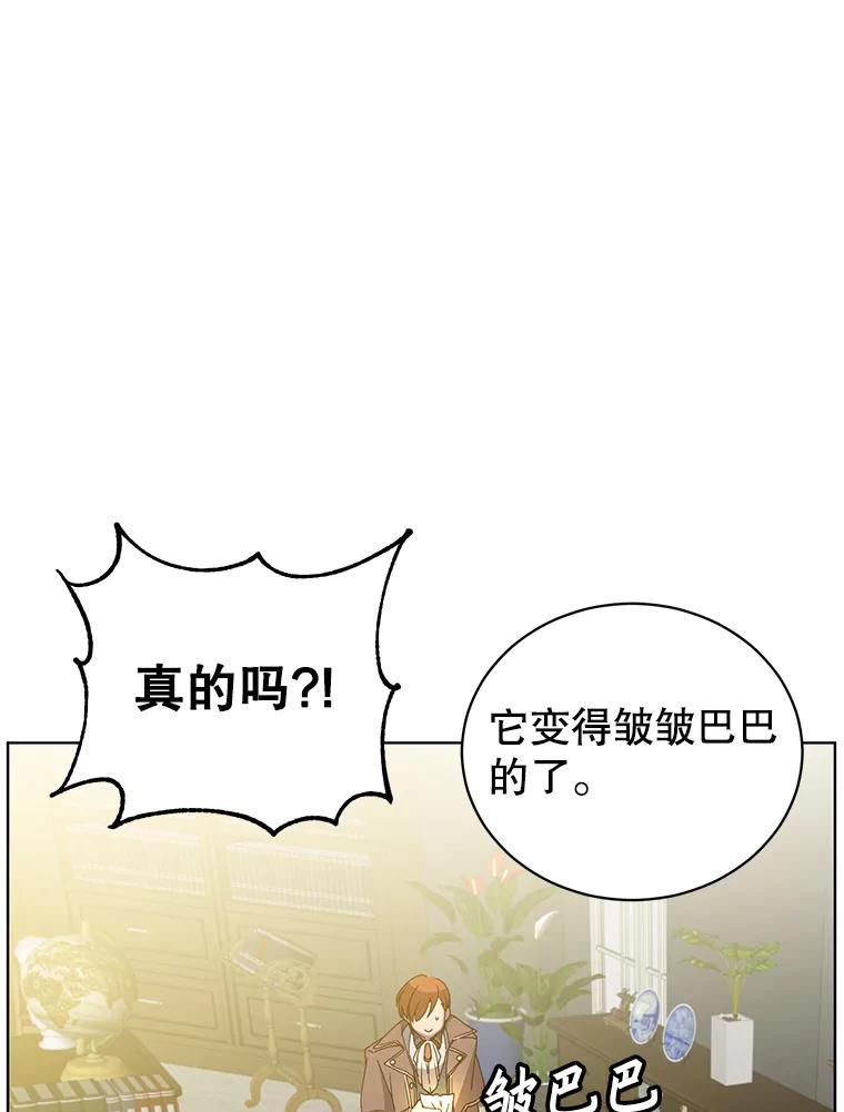 《顶级英雄归来》99.红魔石 第82页
