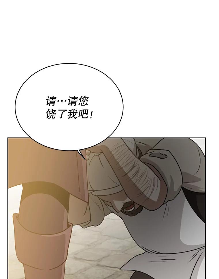 《顶级英雄归来》100.前往琳迪斯的首都 第102页