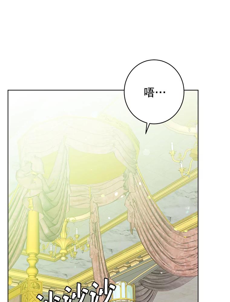 《顶级英雄归来》104.治愈 第53页