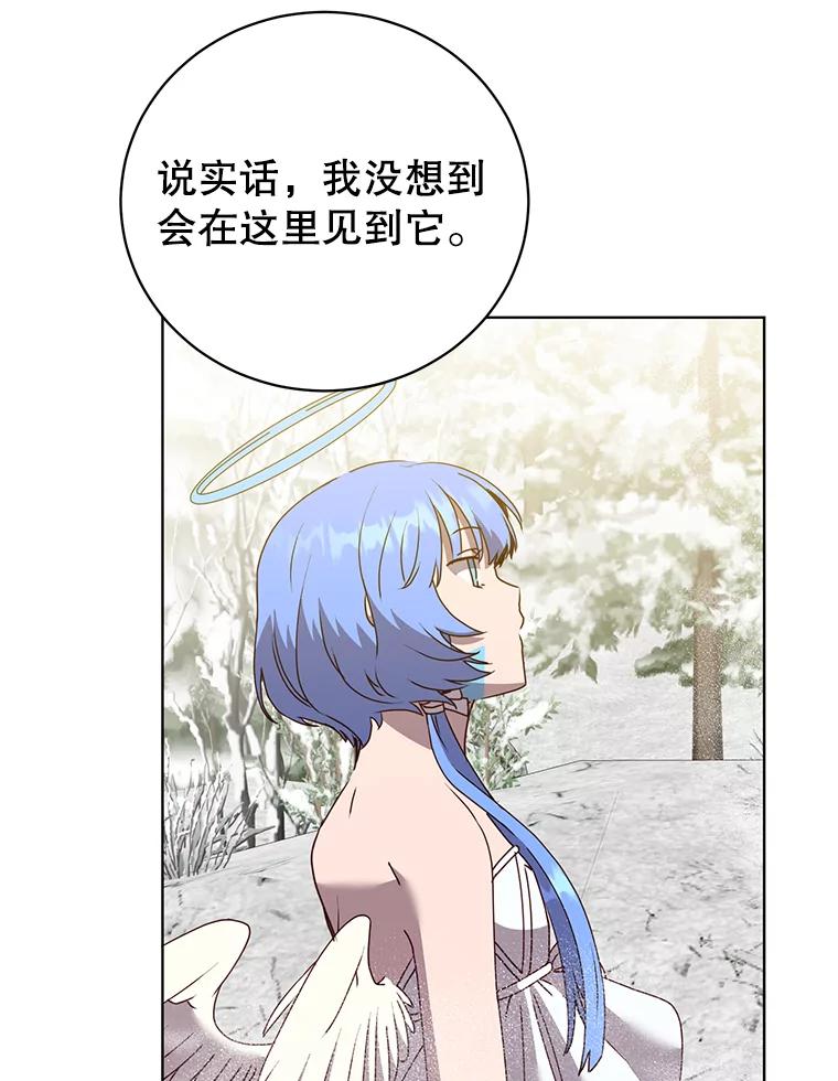 《顶级英雄归来》112.尚德拉的分身 第16页