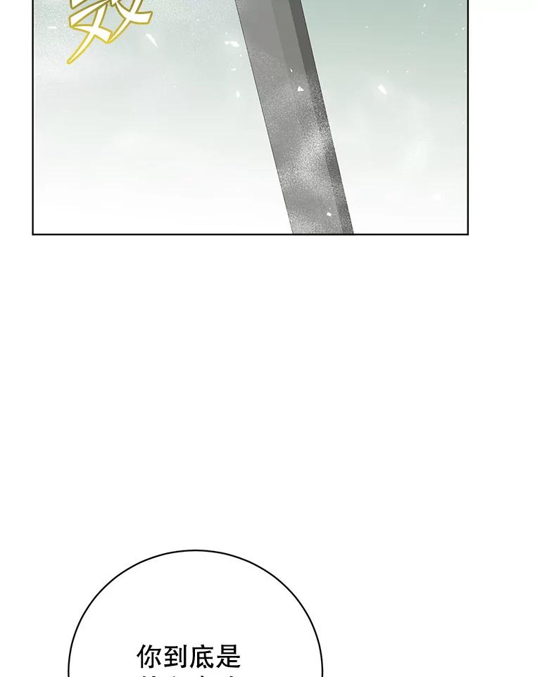 《顶级英雄归来》116.杀死团长 第80页