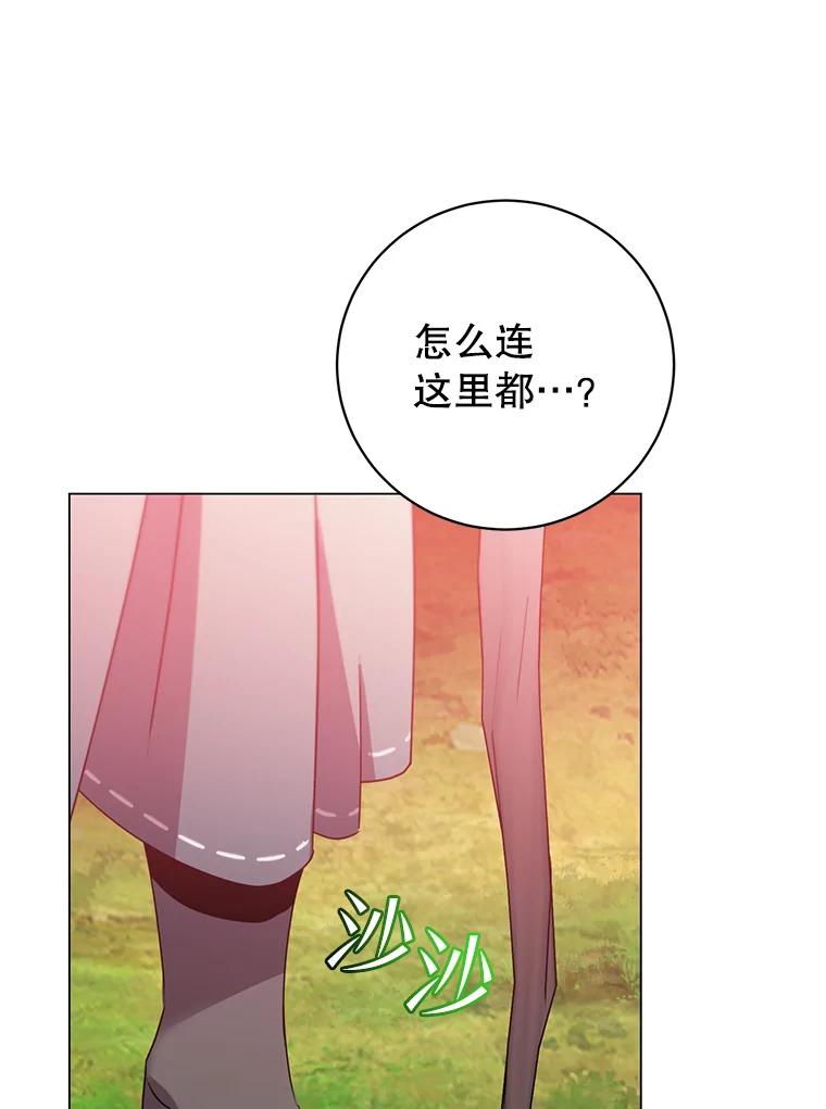 《顶级英雄归来》137.鱼儿上钩 第51页