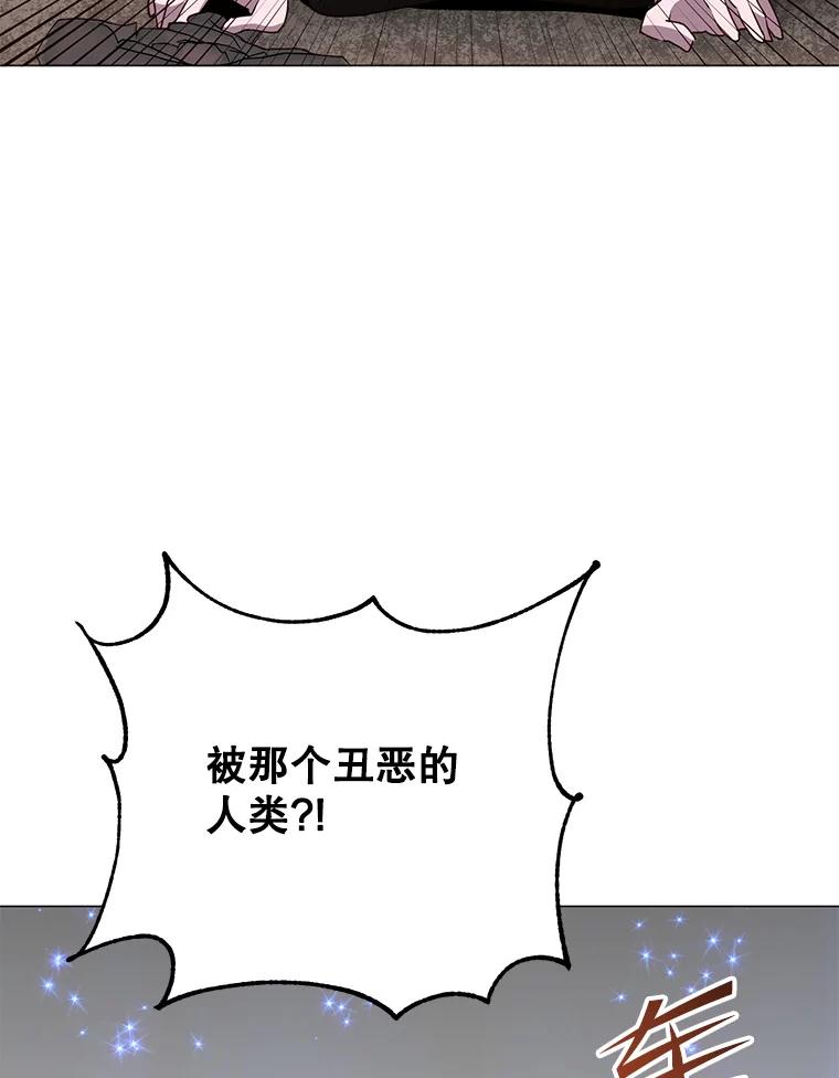 《顶级英雄归来》138.诺阿斯出现 第51页