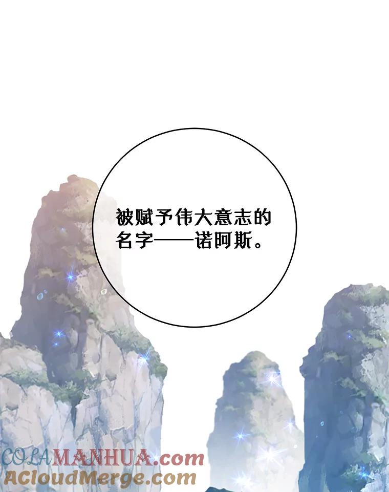 《顶级英雄归来》138.诺阿斯出现 第41页