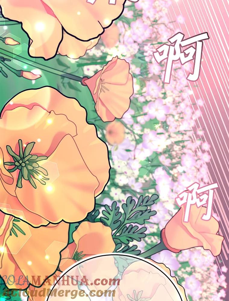 《顶级英雄归来》138.诺阿斯出现 第89页