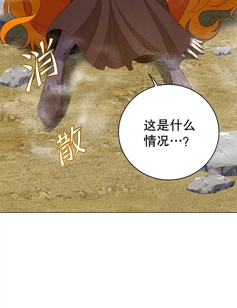《顶级英雄归来》153.与大公较量 第15页