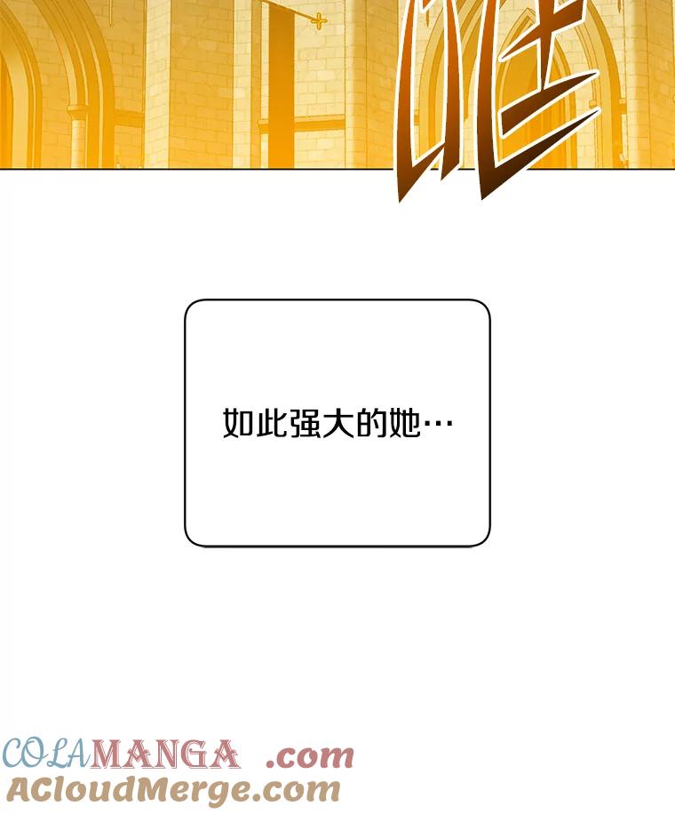 《顶级英雄归来》153.与大公较量 第29页