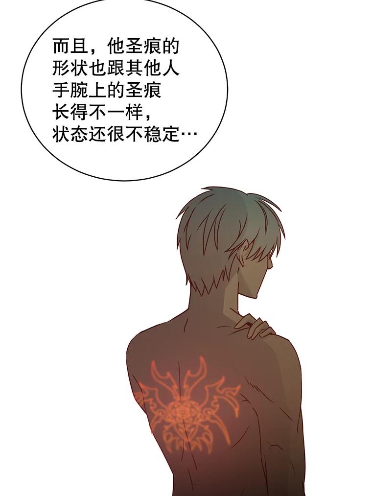 《顶级英雄归来》36.开垦土地 第12页