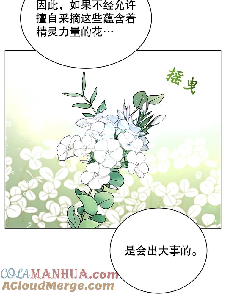 《顶级英雄归来》38.得到月之草 第13页