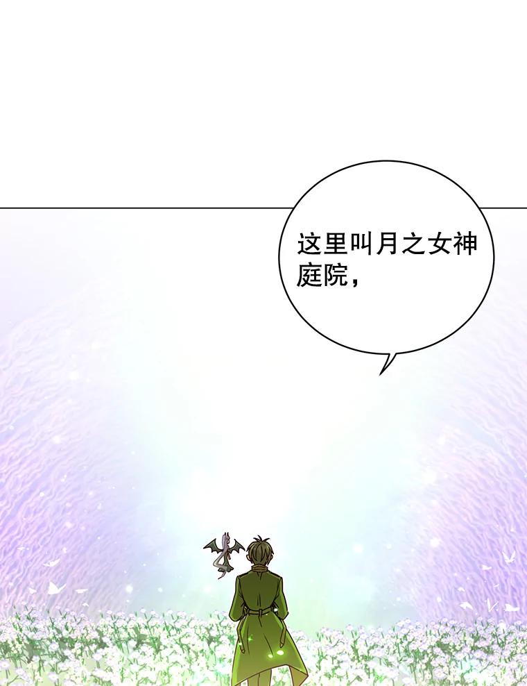《顶级英雄归来》38.得到月之草 第11页