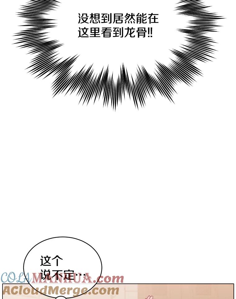 《顶级英雄归来》51.铸成双胞胎剑 第41页
