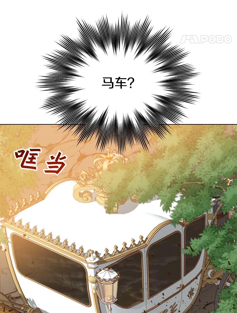 《顶级英雄归来》71.马车 第39页
