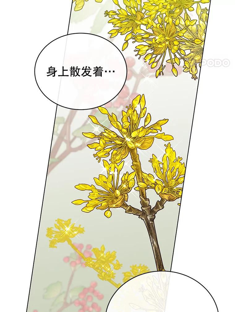 《顶级英雄归来》71.马车 第108页