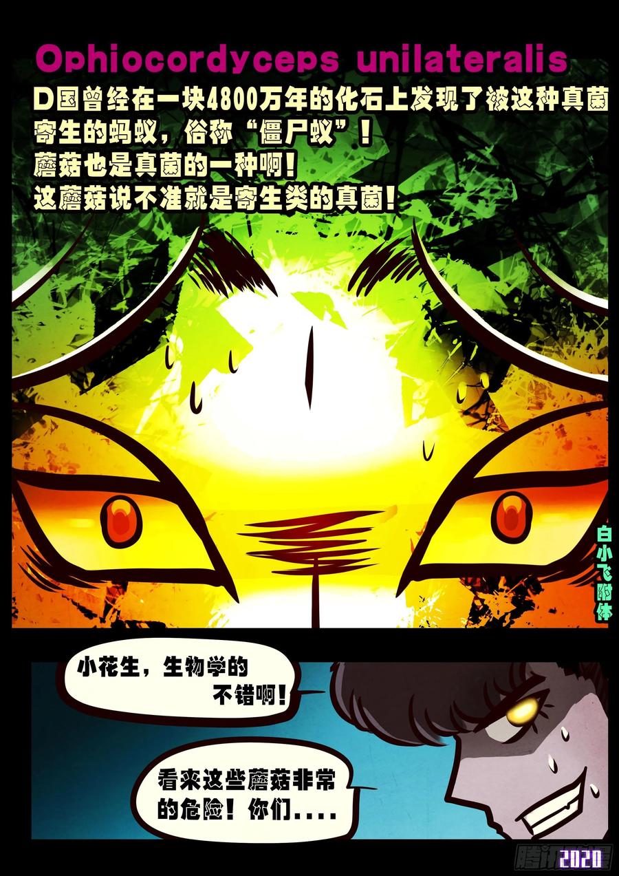 《地球尽头》第029集 第19页