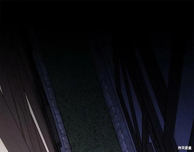《明明是冷美人小姐却变成了忠犬大少爷》第95话 第184页