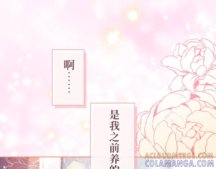 《退婚千金》第10话 第5页