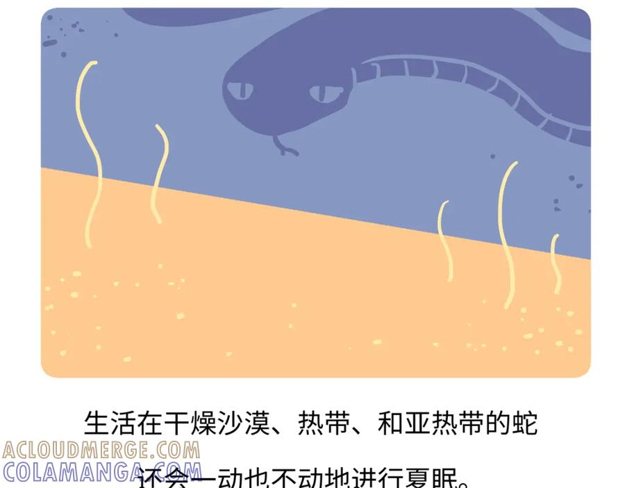 《胖达x胖达》第251话 第23页