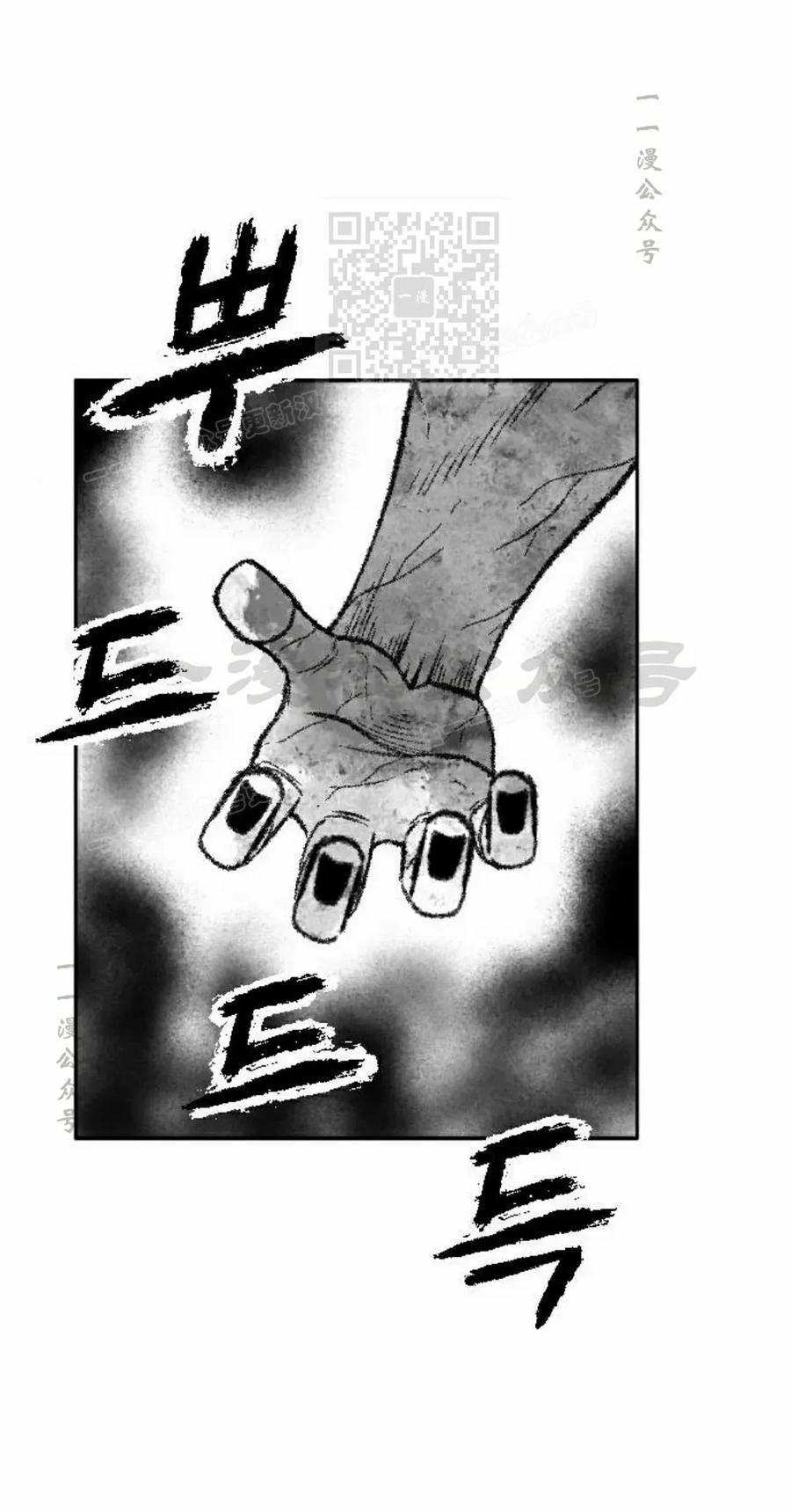 《黑杀》第44集 第51页