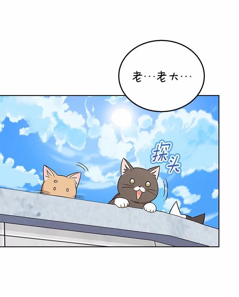 《你好？兽医先生！》21.重回公园 第63页