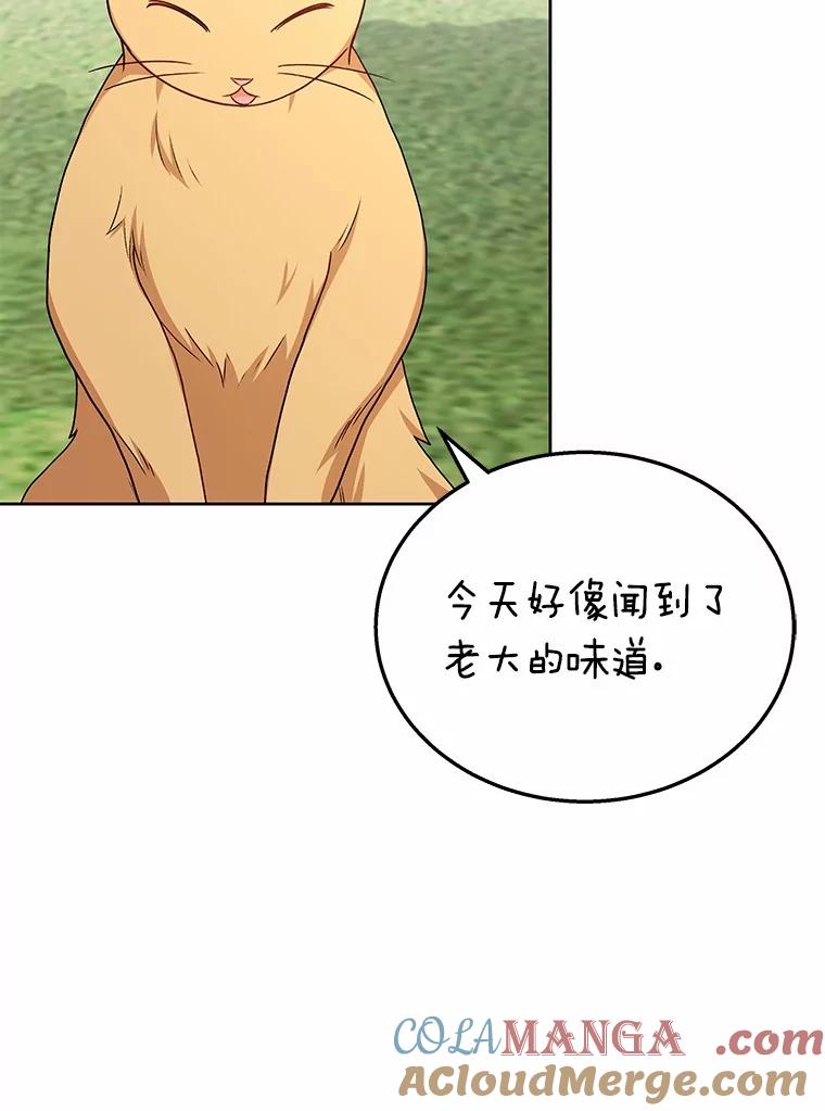 《你好？兽医先生！》21.重回公园 第53页